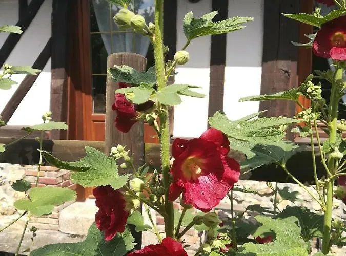 Hébergement de vacances Le Clos Des Hortensias *